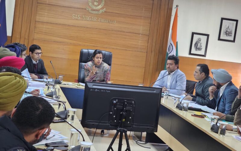 DC Directs SDMs to Monitor Revenue Officers for Timely SVAMITVA Mapping, Prioritizing Mutations, Partitions, Jamabandis, and Expediting Court Recoveries