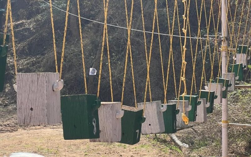 Punjab’s First Equestrian Festival; SAS Nagar Pulls up Socks to host and make it a grand success
