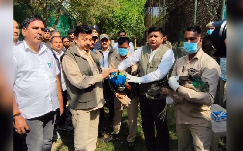 Wildlife Conservation Essential for Ecological Balance: Rao Narbir Singh