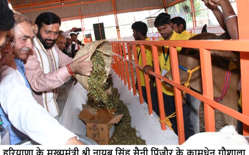 CM Nayab Singh Saini Urges Citizens to Build a Green, Prosperous and Clean Haryana