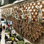 Delhi Airport to Begin Full-Body Scanner Trials in May 2025, Embraces High-Tech Security Upgrade
