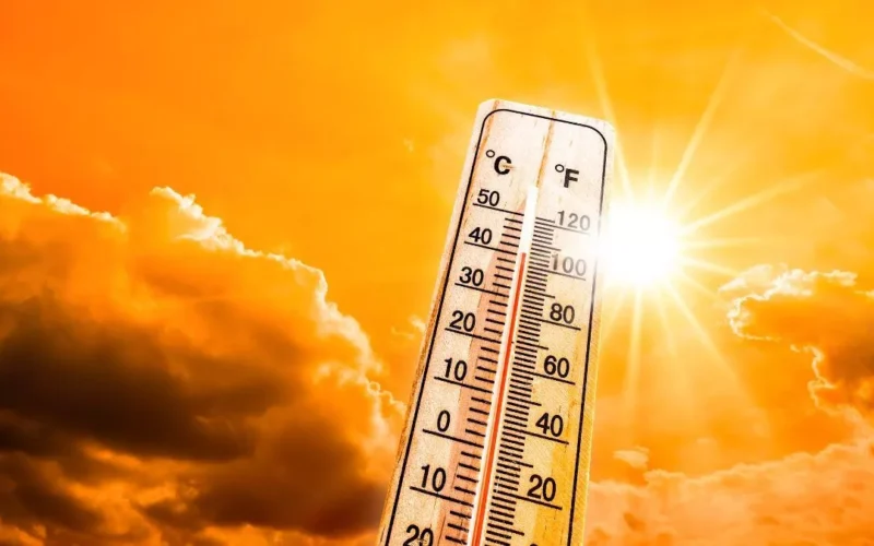 IMD warns of heatwave in Punjab, Haryana till May 23, Light Rain from May 24 onwards