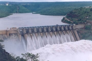 Dam Levels Climb as Punjab Rains Continue, Bhakra and Pong Remain Below Maximum Mark