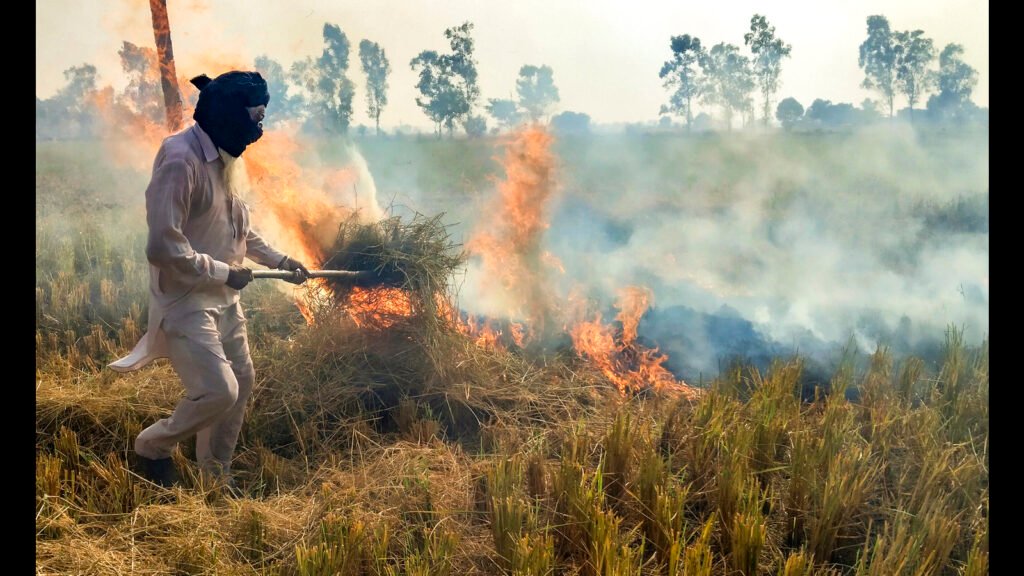 Haryana Slashes Stubble Fires by 91% and Deploys Mechanized Sweepers in Major Clean-Air Drive