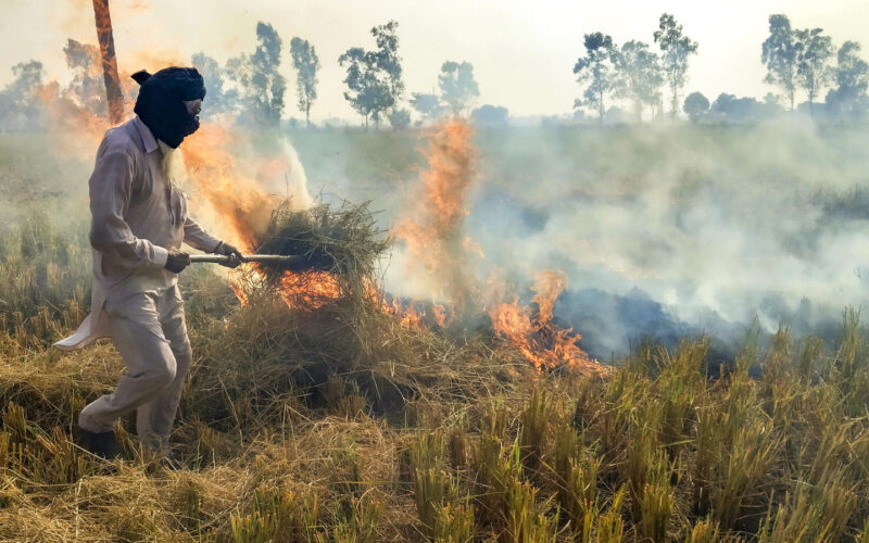 Punjab Launches Eco-Friendly Boiler Subsidy to Turn Crop Waste Into Industrial Energy