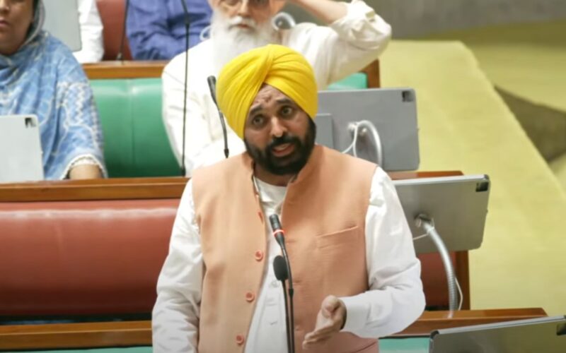 'White Elephant BBMB Must Go': CM Bhagwant Mann Slams Centre Over Punjab's Water Woes