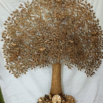 PM Modi Gifts Brass Bodhi Tree to Canadian PM Mark Carney During G7 Visit