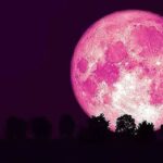 June's Strawberry Moon rises last night, lower full moon since 2006