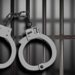 DRI Seizes ₹5 Crore Worth of Narcotics on Delhi-Mumbai Bus, Nigerian Woman Arrested