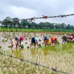 Cabinet approves the Prime Minister Dhan-Dhaanya Krishi Yojana