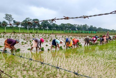 Cabinet approves the Prime Minister Dhan-Dhaanya Krishi Yojana