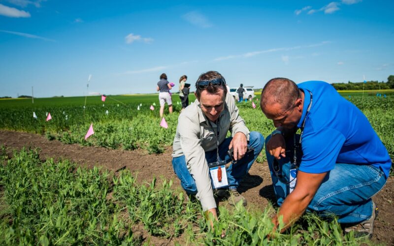 Fertilizer Canada and Alberta Grains working together to promote 4R practices to farmers