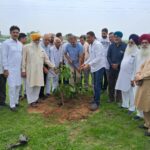 Former MLA Launches Plantation Drive in Dera Bassi; Around 10,000 Saplings to Be Planted: N.K. Sharma