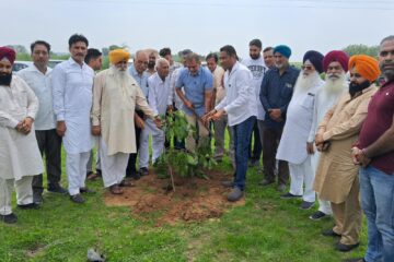 Former MLA Launches Plantation Drive in Dera Bassi; Around 10,000 Saplings to Be Planted: N.K. Sharma