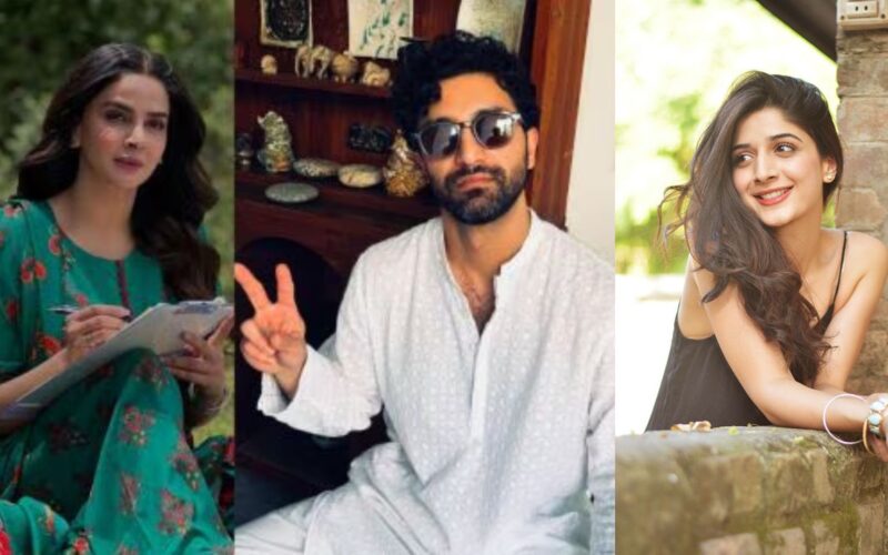 Instagram Profiles of Mawra Hocane, Saba Qamar Become Visible in India Amid Diljit-Hania Row; YouTube Channels Also Accessible Again