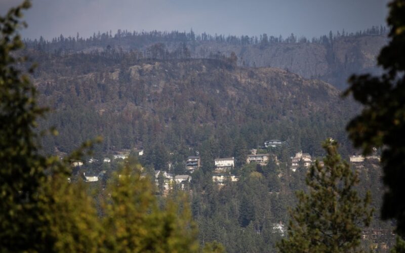 Evacuation Order Issued as Whelan Creek Wildfire Threatens Homes Near Kelowna