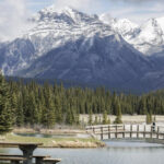 Free summer fun at all Alberta museums and sites