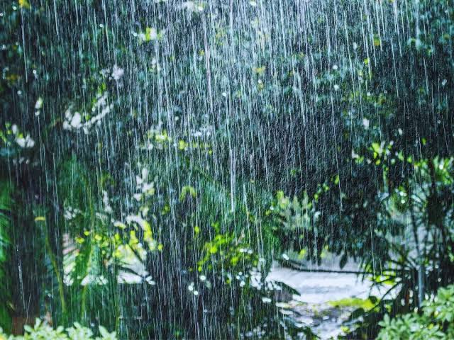 IMD Predicts Above-Normal Rainfall in Second Half of Monsoon Season