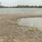 Alberta Proposes Annual Watercraft Pass to Combat Invasive Mussels; Public Input Sought