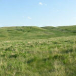 Alberta investing $10 million to make it easier for landowners to conserve natural areas while keeping people working