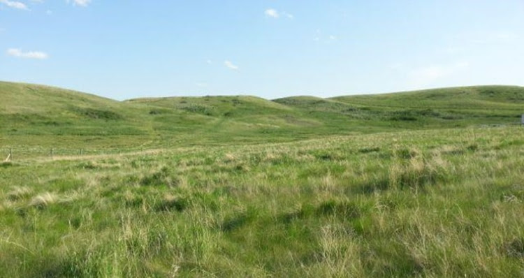 Alberta investing $10 million to make it easier for landowners to conserve natural areas while keeping people working