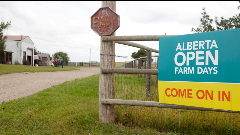 Celebrate Local Food Week and Open Farm Days: Support Alberta’s Food Producers