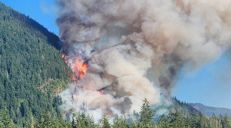 Unprecedented Wildfire Near Port Alberni Forces Evacuations and Declares States of Emergency