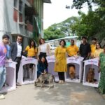 Mars and Instamart Expand Paw Protecc to Hyderabad and Chennai to Shield Homeless Pets from Monsoon Hardship
