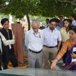 Save Medicinal Plants Now or Risk Our Future, Stresses National Medicinal Plants Board CEO
