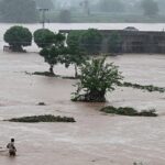 Punjab Faces Rain and Flood Alert: 7 Districts on Rain Watch, 8 Battling Rising Waters After Harike Spill