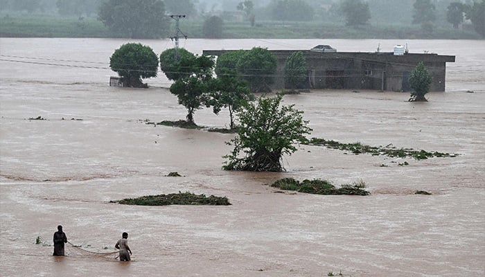 Punjab Faces Rain and Flood Alert: 7 Districts on Rain Watch, 8 Battling Rising Waters After Harike Spill