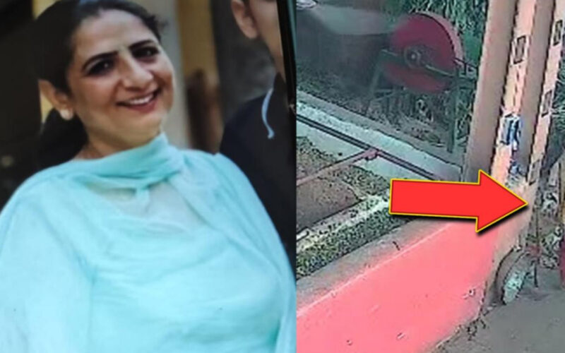 Teacher Dies in Tragic Accident at Mohali Cow Shelter