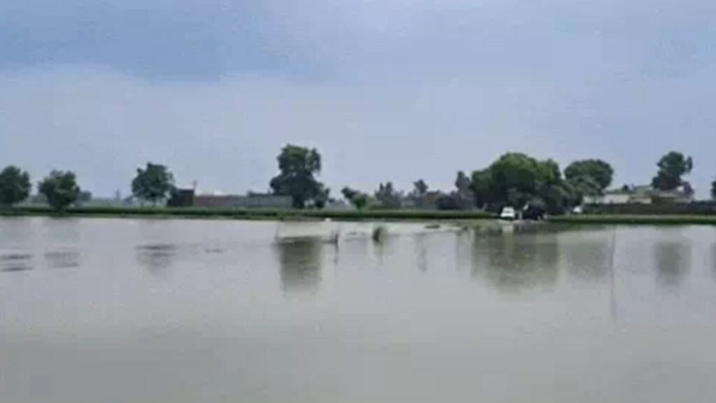 Punjab Bets on Modern Geo-Tube Barrier to Tackle Sutlej Flood Threat, Locals Await Final Protective Layer