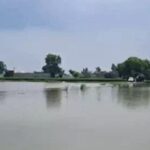 Punjab on High Alert: Water Discharge from Pong Dam Worsens Flood Threat in Several Districts