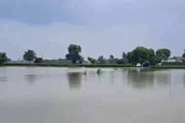 Punjab Bets on Modern Geo-Tube Barrier to Tackle Sutlej Flood Threat, Locals Await Final Protective Layer