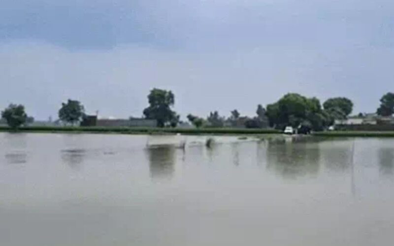 Punjab on High Alert: Water Discharge from Pong Dam Worsens Flood Threat in Several Districts