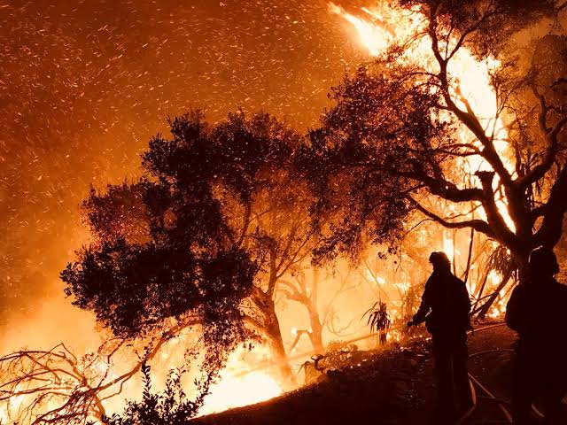 B.C. Wildfires Double Overnight as Lightning Storms Ignite Emergency Response