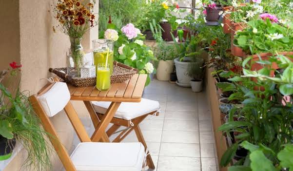 Why Urban Indians Are Falling in Love with Gardening—One Balcony at a Time