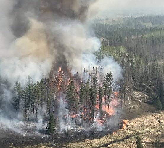 Wildfire Surge in British Columbia as Lightning Strikes Spark New Blazes