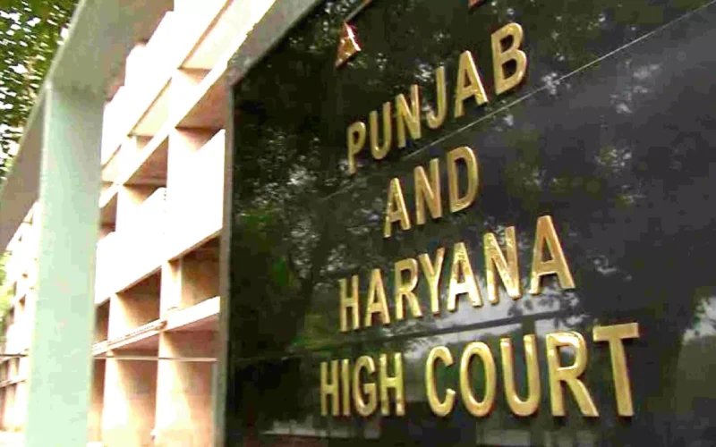 Punjab and Haryana High Court Declines Immediate Intervention in Flood Matter