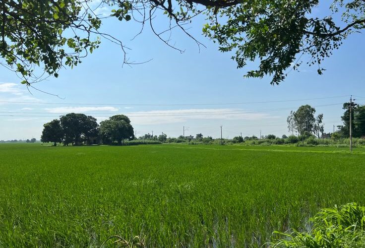 Good news – Clear Weather in Punjab Today, No Alert Issued Till September 12