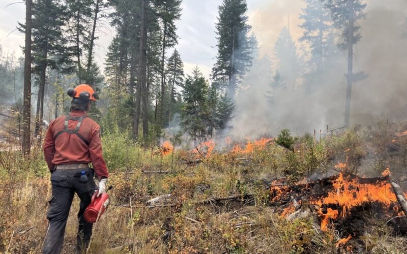 Crews Plan Controlled Ignition to Contain Munro Lake Wildfire Near Peachland, B.C.