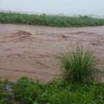 Patiala Administration Issues Safety Advisory Amid Rising Ghaggar Water Levels