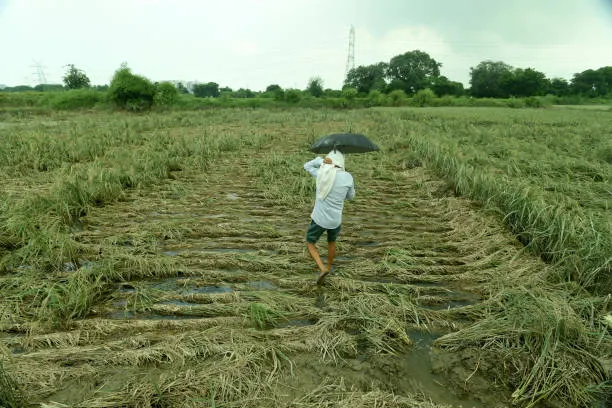 Monsoon Set to Exit Punjab Within a Day, Dry Spell to Continue Across the StateMonsoon Set to Exit Punjab Within a Day, Dry Spell to Continue Across the State