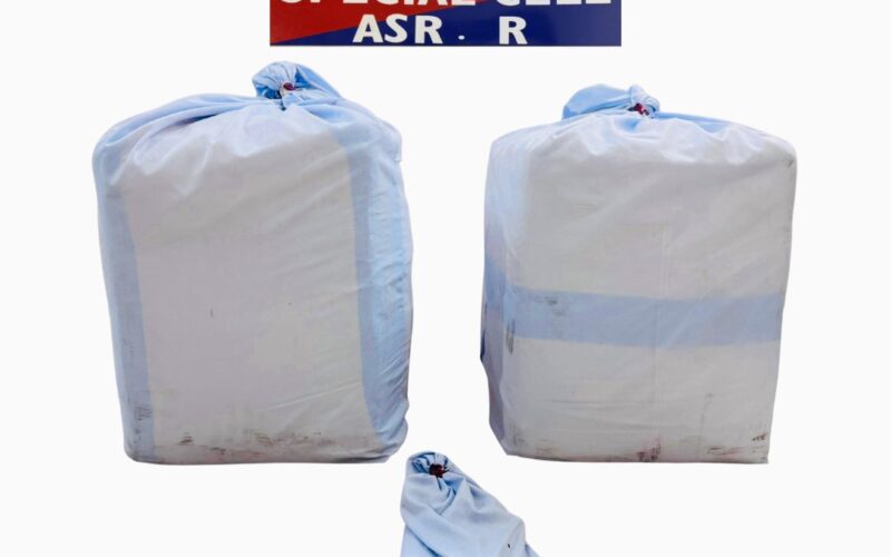 Amritsar Police Crack Illegal Tramadol Supply Chain, Arrest One