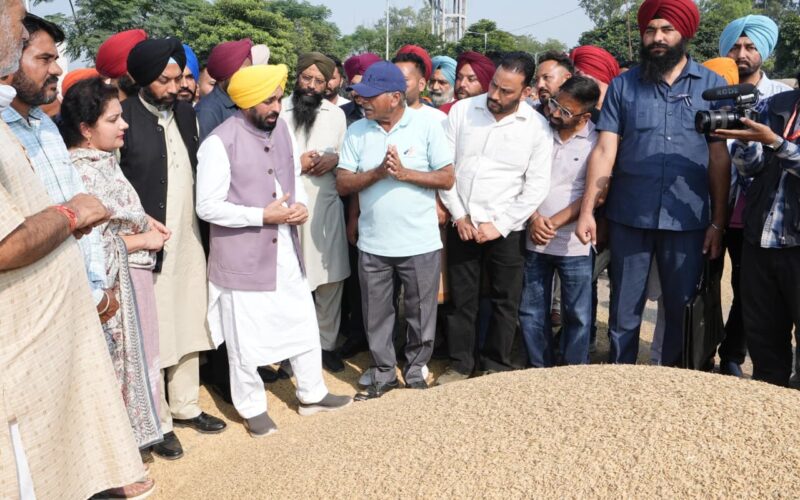 Punjab Procures 61 Lakh Metric Tonnes of Paddy, ₹13,073 Crore Paid to Farmers: CM Bhagwant Mann