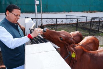 Uttarakhand CM Pushkar Singh Dhami Prays at Official Cowshed, Announces Major Cow Welfare Initiatives on Govardhan Puja