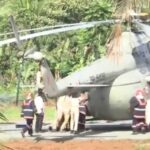 Minor Incident at Kerala Helipad After President Murmu’s Arrival, No Injuries Reported