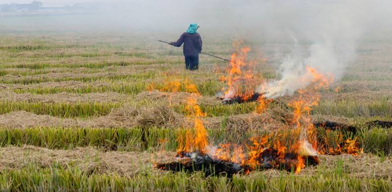 Haryana Achieves 95% Reduction in Stubble Burning Cases, Sets National Benchmark for Clean Farming
