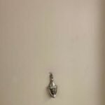 Toronto Police Probe Theft of Mezuzahs From Seniors’ Residence in Suspected Hate Crime